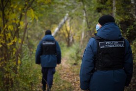 În ultimele 24 de ore au fost înregistrate 11 701 traversări ale frontierei de stat. Ce acțiuni ilegale au depistat polițiștii de frontieră